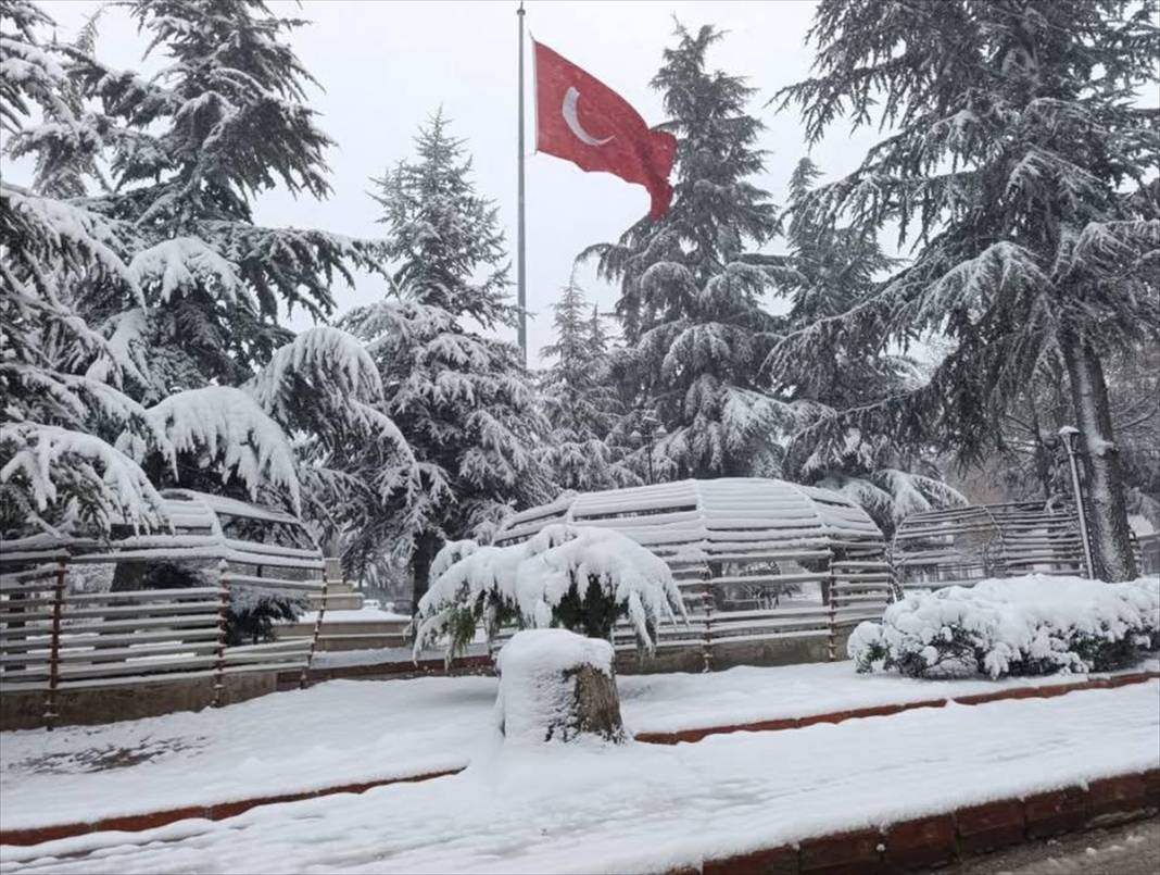 Konya’da çiçek açan ağaçları beyaz örtü kapladı 3